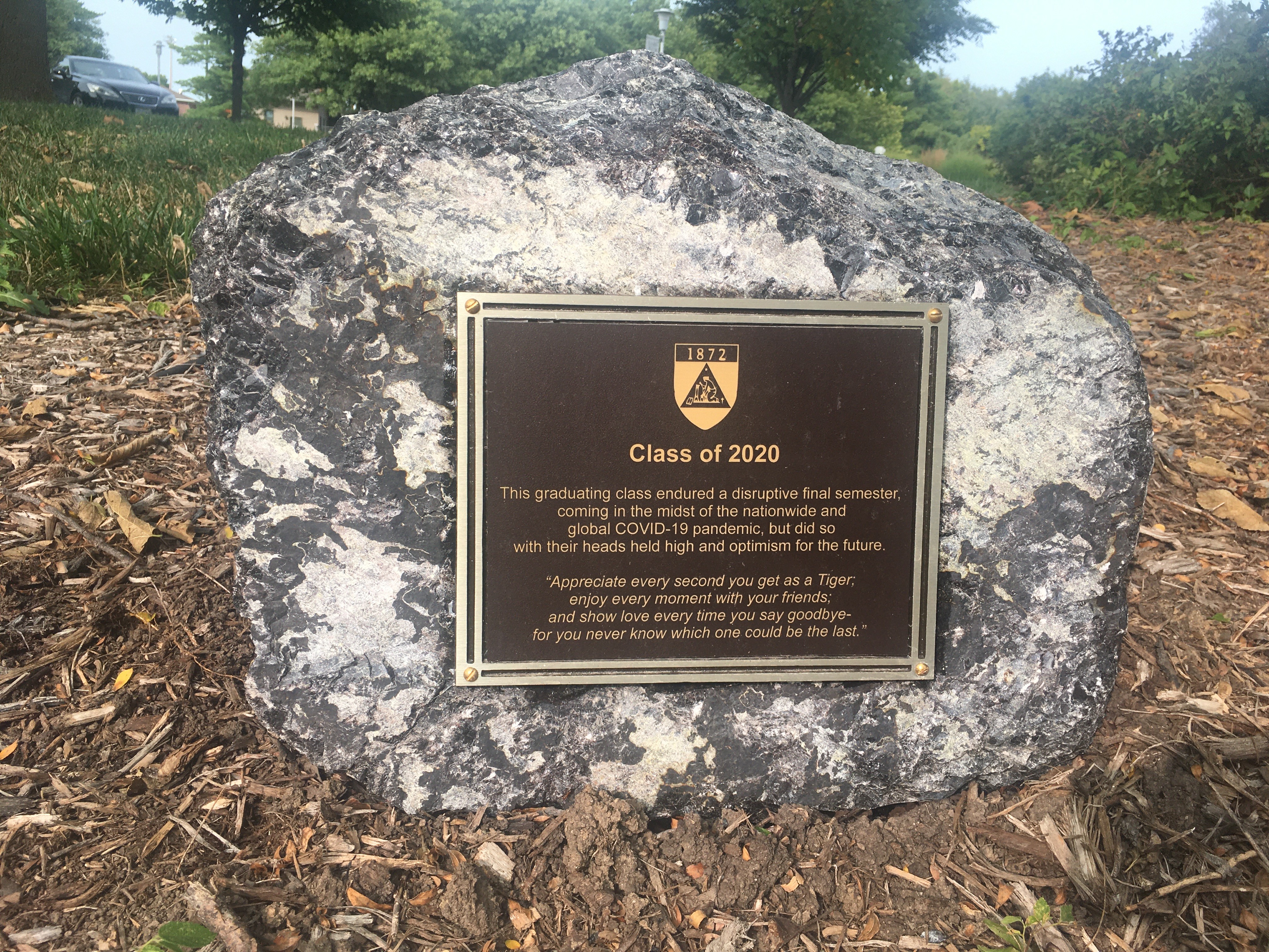 Class of 2020 Plaque on Rock